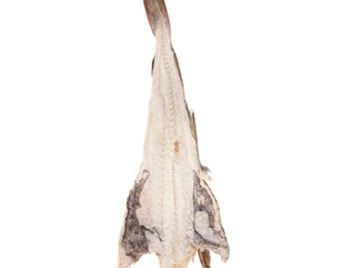 Bacalao