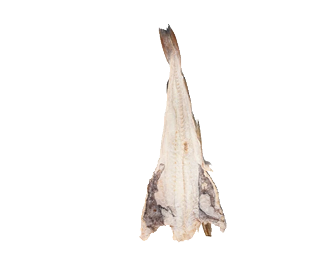 Bacalao